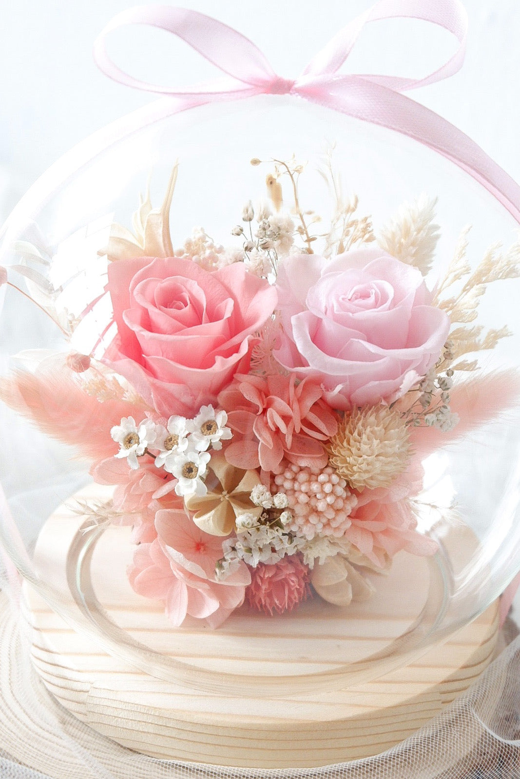 Coral Preserved Standard Snow Globe
