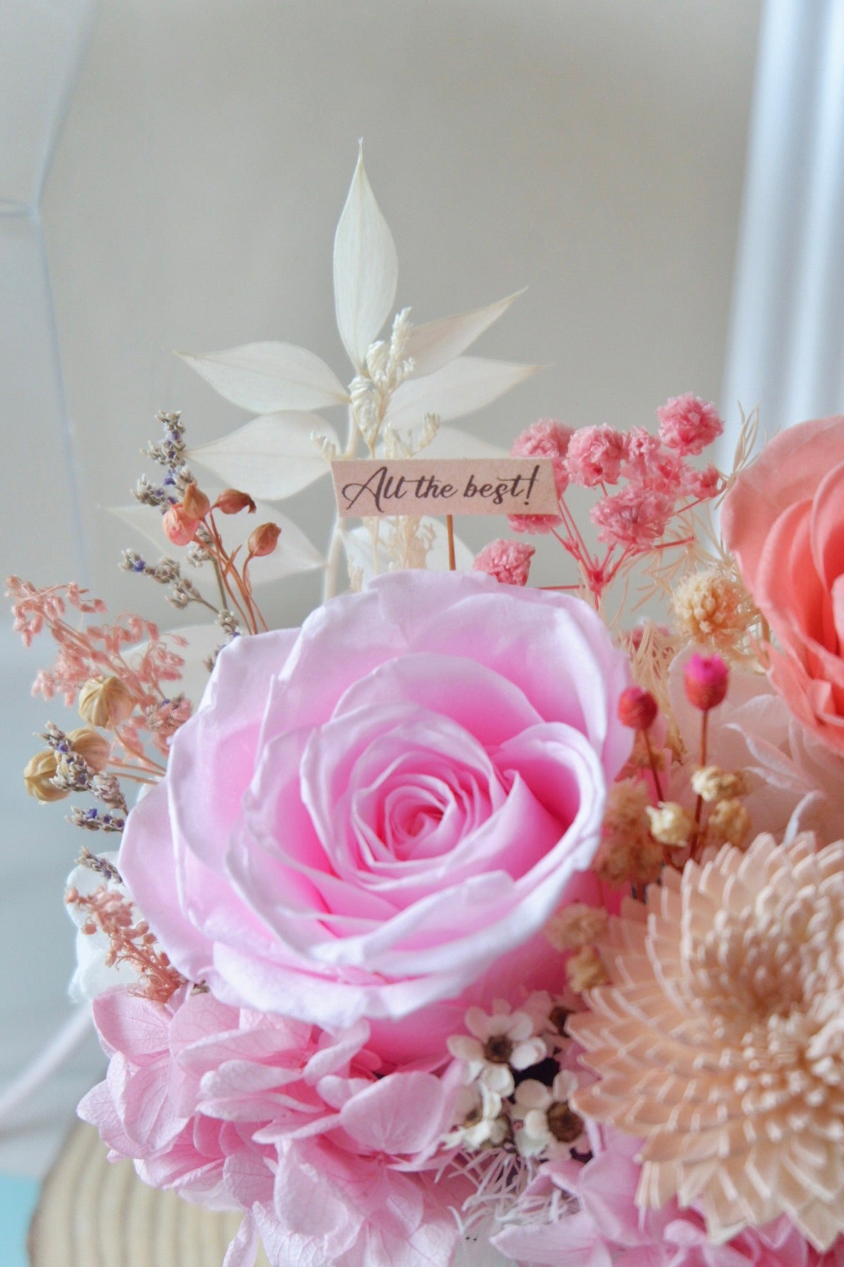 Rosette Preserved Flower Pot