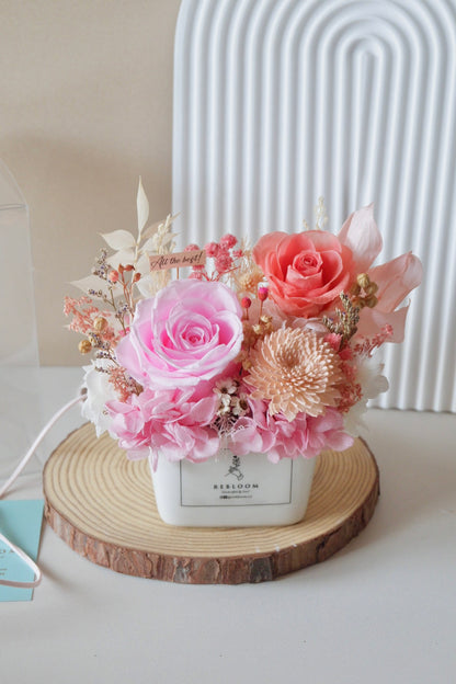 Rosette Preserved Flower Pot