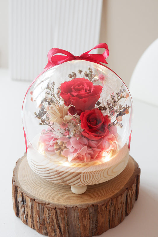 Ashley Small Preserved Snow Globe with Lights