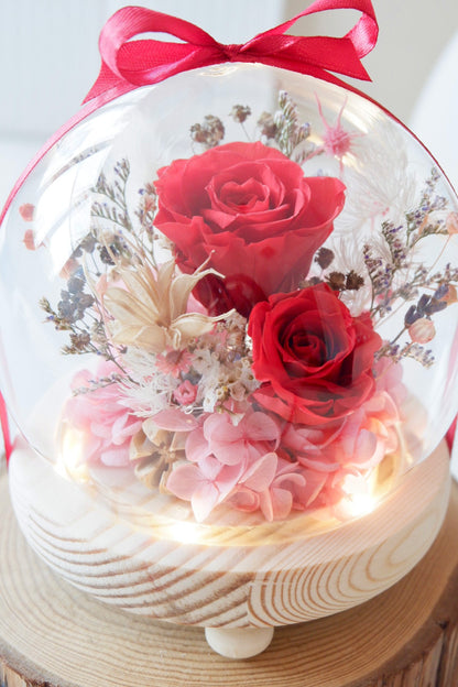 Ashley Small Preserved Snow Globe with Lights