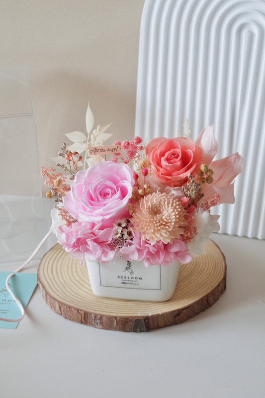 Rosette Preserved Flower Pot